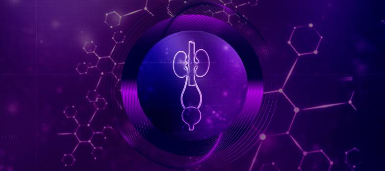 UROONKOLOGIA - DYLEMATY TERAPEUTYCZNE W UJĘCIU INTERDYSCYPLINARNYM